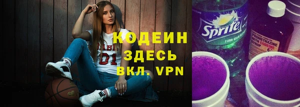 хмурый Алексин