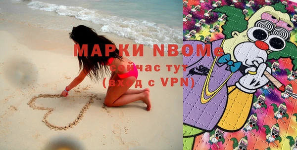 хмурый Алексин