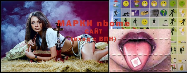 хмурый Алексин