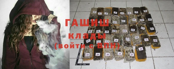 хмурый Алексин