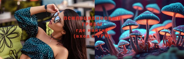 хмурый Алексин