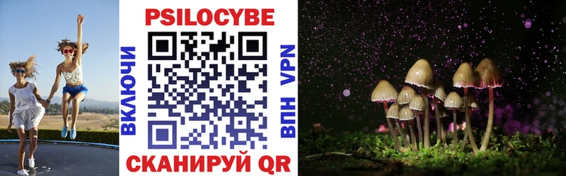 Псилоцибиновые грибы Psilocybe Перевоз